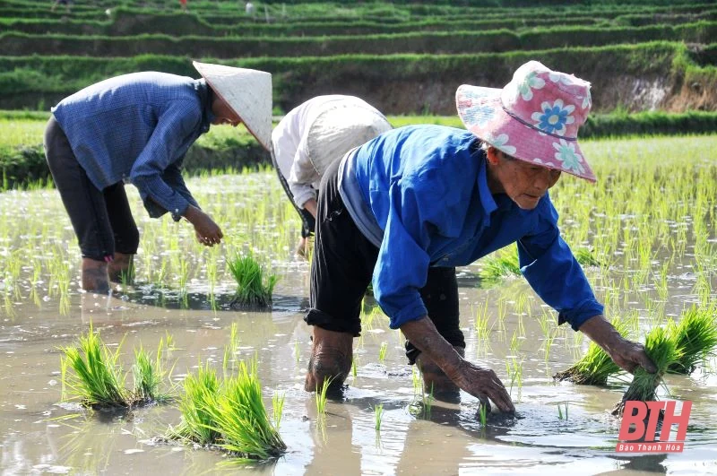 Người dân vùng cao vất vả vì nắng nóng