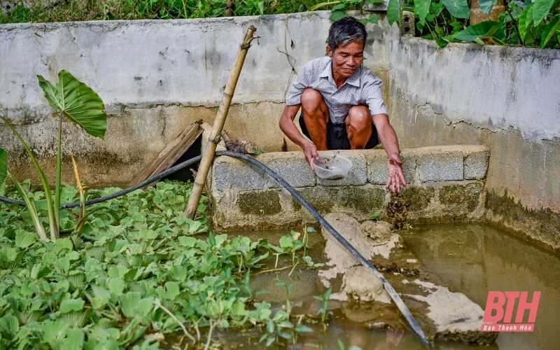 Cựu chiến binh làm giàu từ mô hình nuôi ba ba trong bể xi măng