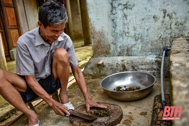 Cựu chiến binh làm giàu từ mô hình nuôi ba ba trong bể xi măng