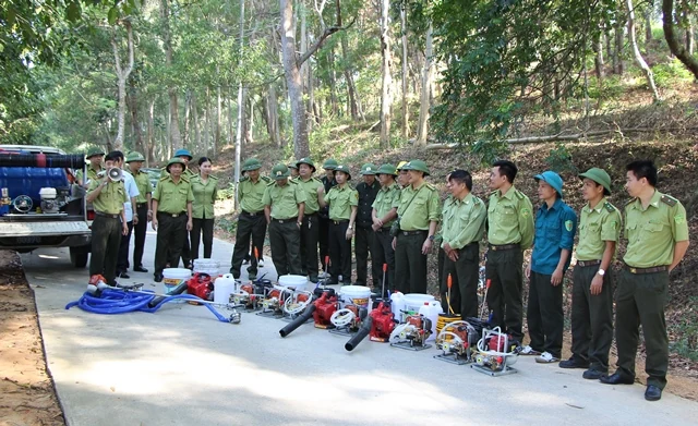 Cải tạo máy cắt thực bì thành hệ thống chữa cháy rừng cơ động