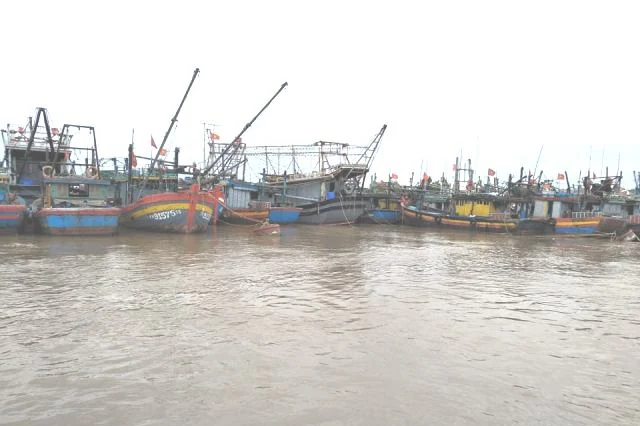 Bộ đội biên phòng yêu cầu ngư dân rời khỏi tàu thuyền để bảo đảm an toàn