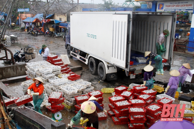 Thị xã Nghi Sơn phát triển dịch vụ hậu cần nghề cá