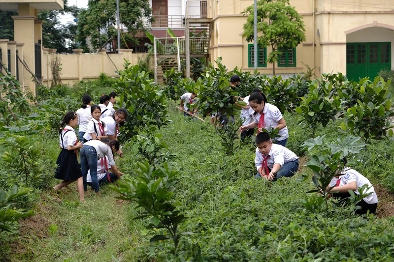 “ Quỹ 1 triệu cây xanh cho Việt Nam”: Lan tỏa tình yêu thiên nhiên, môi trường đến với học sinh