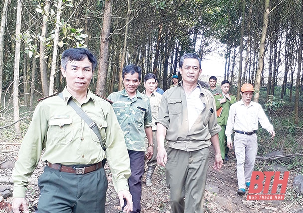 Huyện Cẩm Thủy chủ động bảo vệ và phát triển rừng