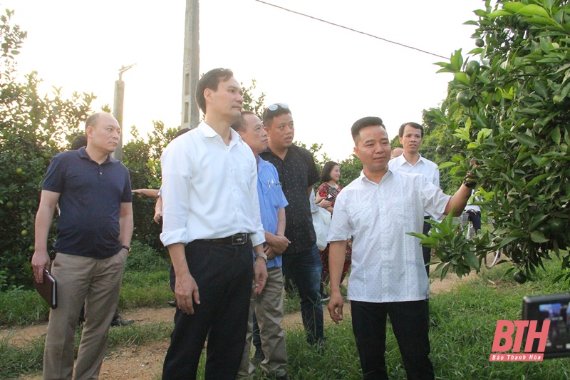 Phóng viên các cơ quan báo chí trung ương thường trú tại Thanh Hoá đi thực tế tại huyện Thạch Thành