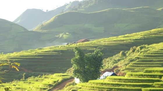 Chùm thơ về mùa thu của nhà báo Nguyễn Hồng Vinh