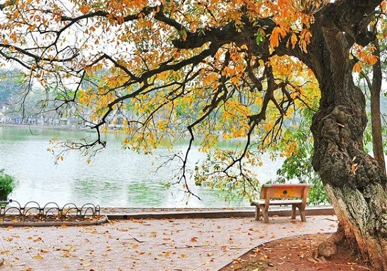 Chùm thơ về mùa thu của nhà báo Nguyễn Hồng Vinh