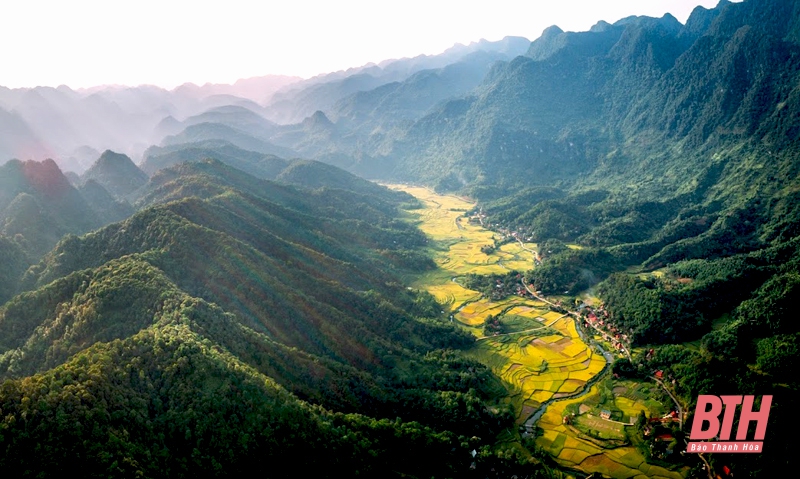 Hơn 1.000 VĐV trong nước, quốc tế tranh tài tại Giải Marathon băng rừng Việt Nam - Pù Luông năm 2020