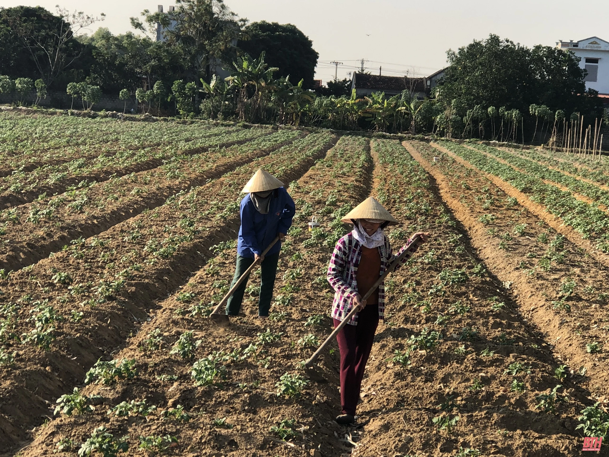 Thẩm định xã đạt chuẩn nông thôn mới nâng cao năm 2020