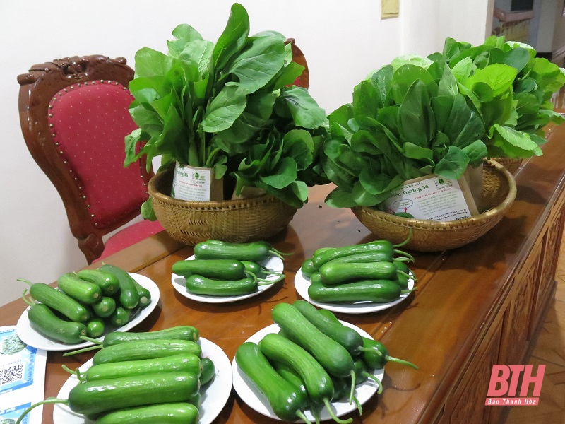 Thanh Hóa: Thêm 17 sản phẩm OCOP cấp tỉnh