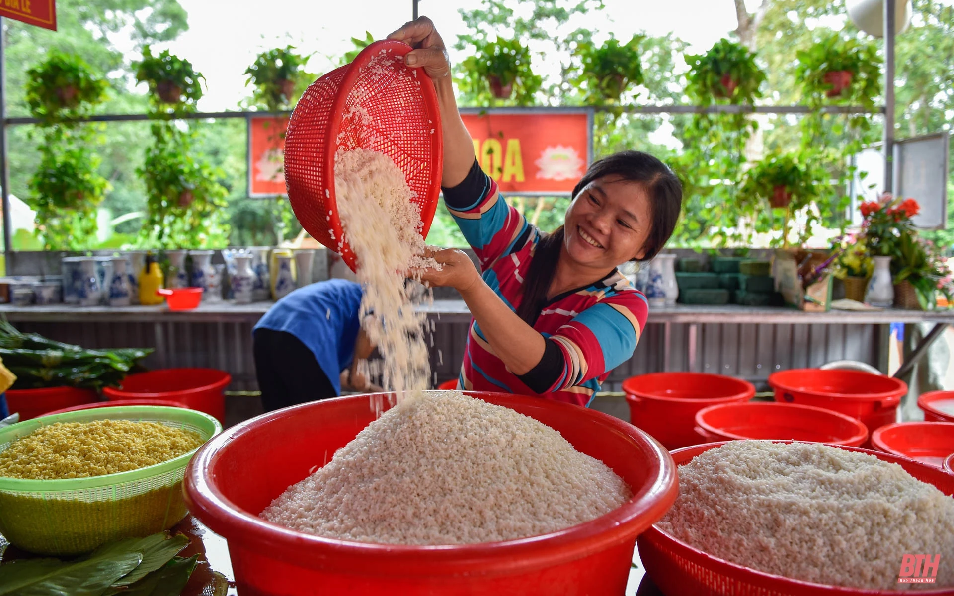 Bà con xứ Thanh gói bánh chưng gửi về tâm lũ