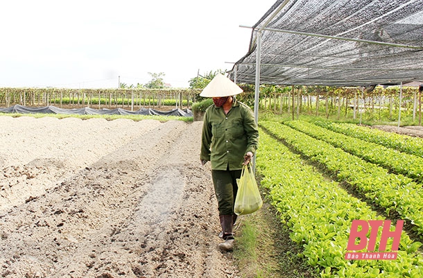 Kết quả từ thực hiện các chính sách hỗ trợ phát triển nông nghiệp ở huyện Thọ Xuân