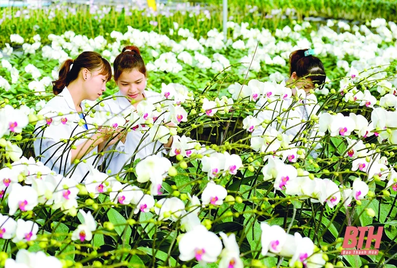 Nghị quyết số 58-NQ/TW của Bộ Chính trị về xây dựng và phát triển tỉnh Thanh Hóa đến năm 2030, tầm nhìn đến năm 2045: Tầm nhìn và mục tiêu