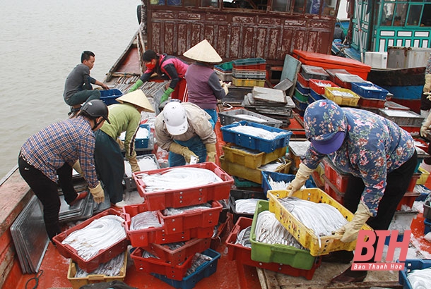 Bảo đảm vệ sinh an toàn thực phẩm trên tàu cá
