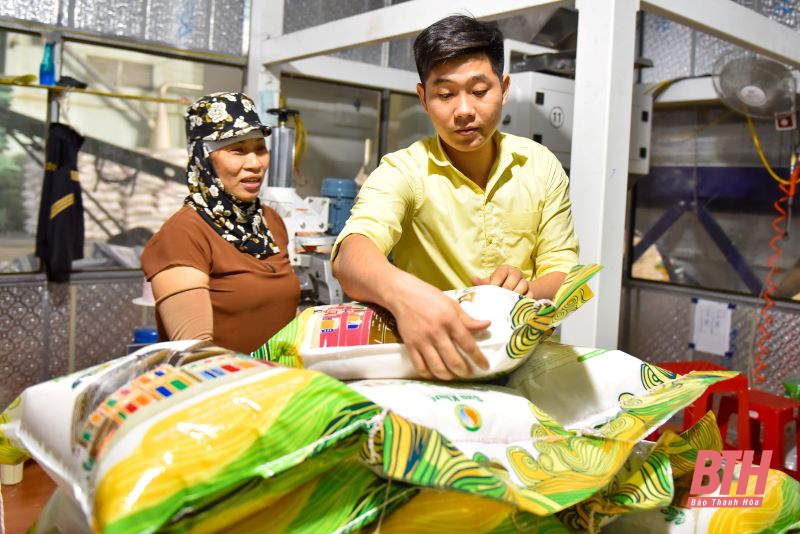 Cận cảnh nhà máy chế biến gạo đầu tiên tại Thanh Hóa