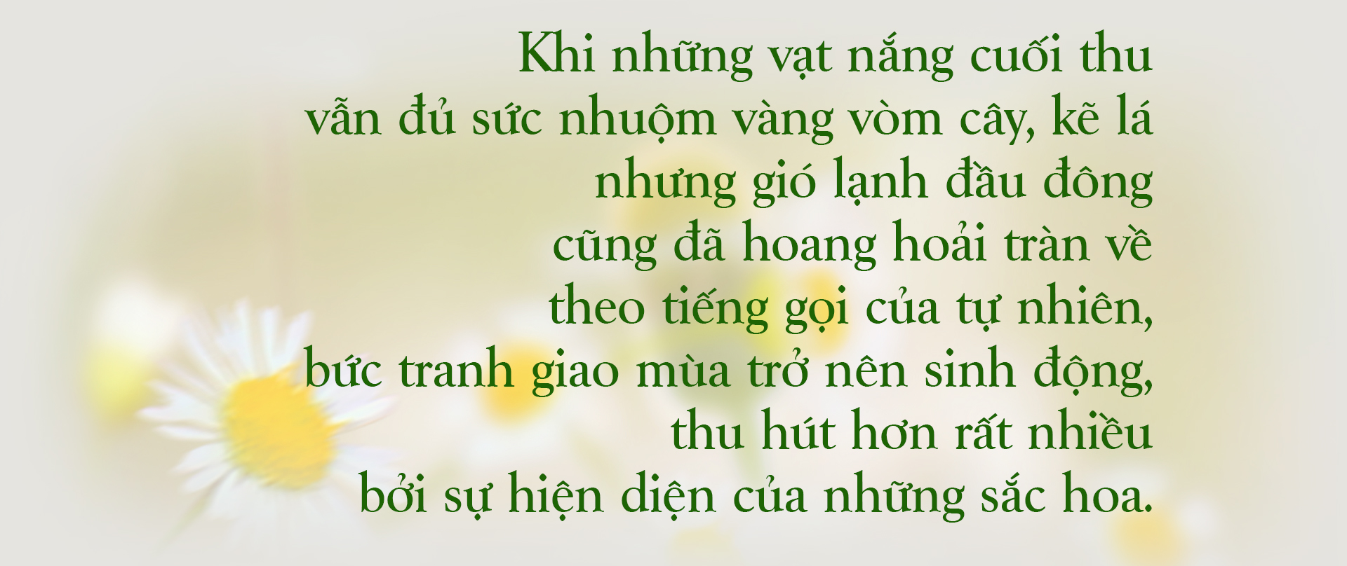 [E-Magazine] - Xao xuyến… những mùa hoa