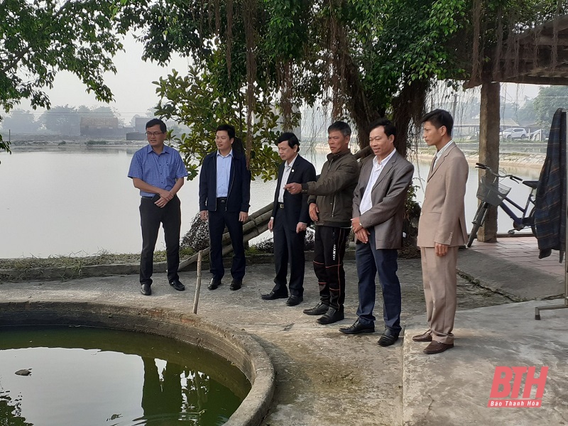Giám sát thực hiện một số chính sách tái cơ cấu ngành nông nghiệp tại Quảng Xương