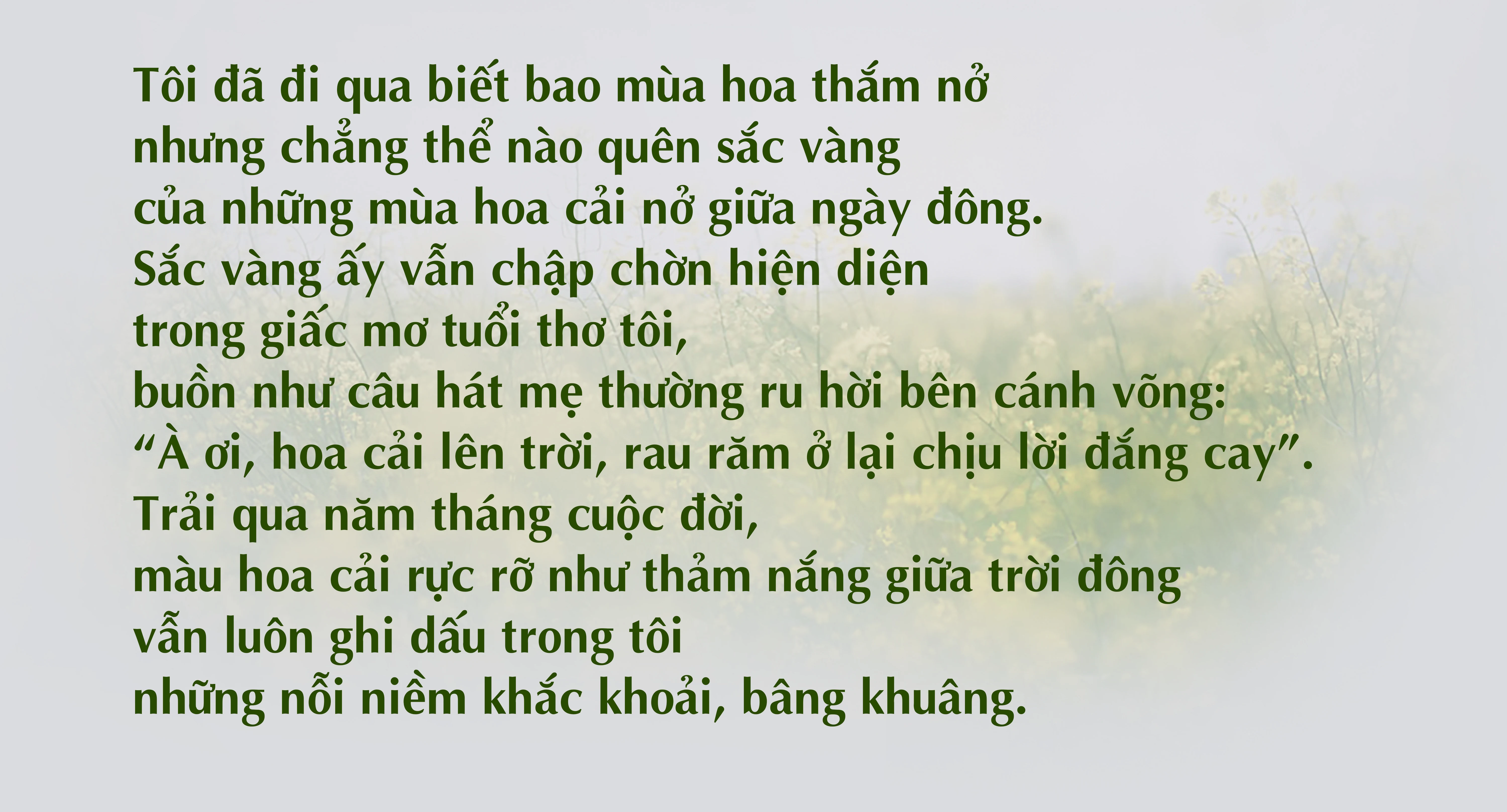[E-Magazine] - Thương những mùa hoa cải