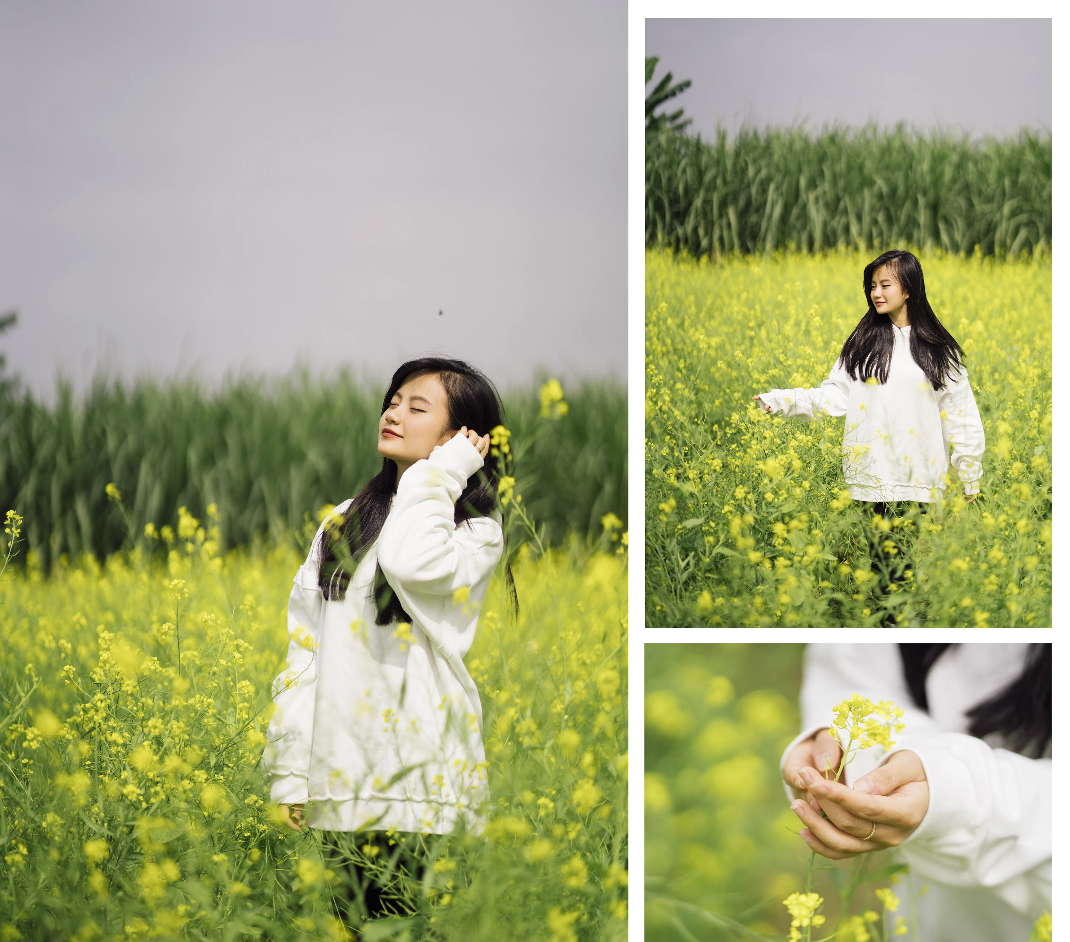 [E-Magazine] - Thương những mùa hoa cải