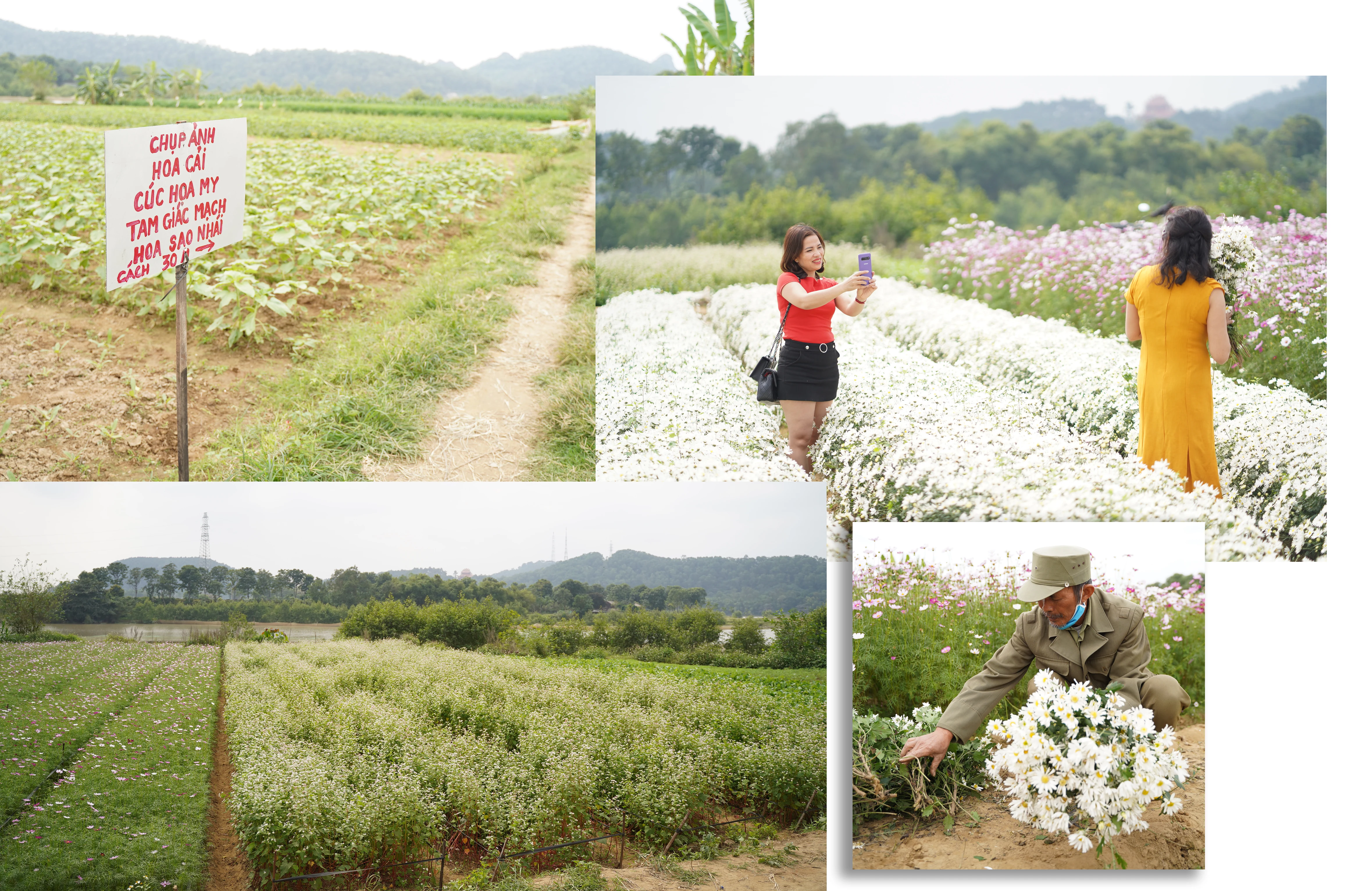 [E-Magazine] - Thương những mùa hoa cải