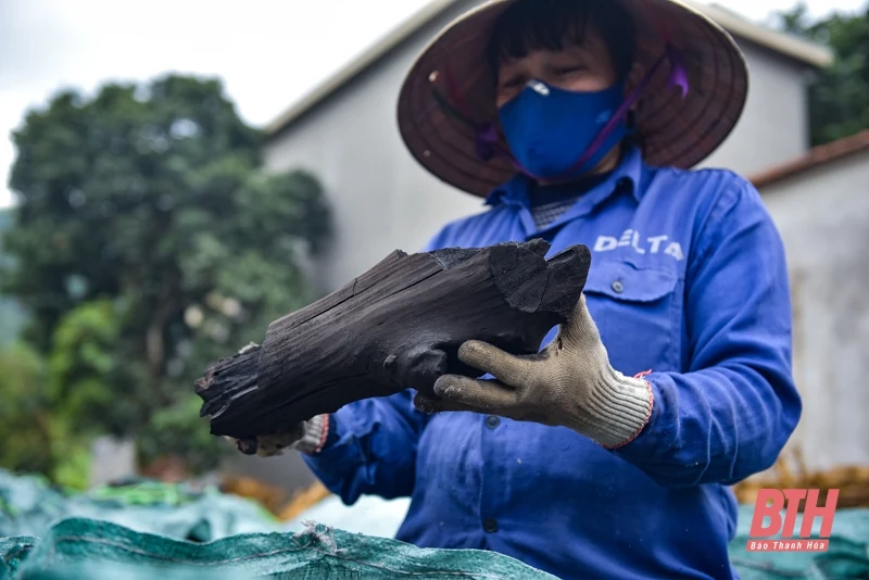 Nghề đốt than củi ở Cẩm Thủy vào mùa Tết