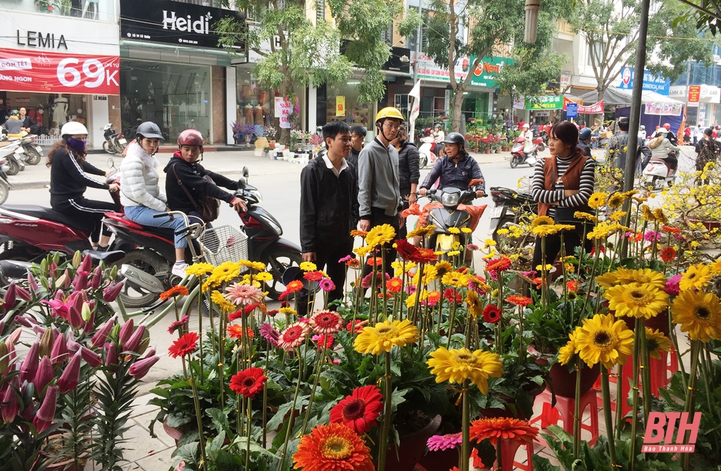 TP Thanh Hóa bố trí 26 điểm bán hoa, cây cảnh Tết Nguyên đán Tân Sửu 2021