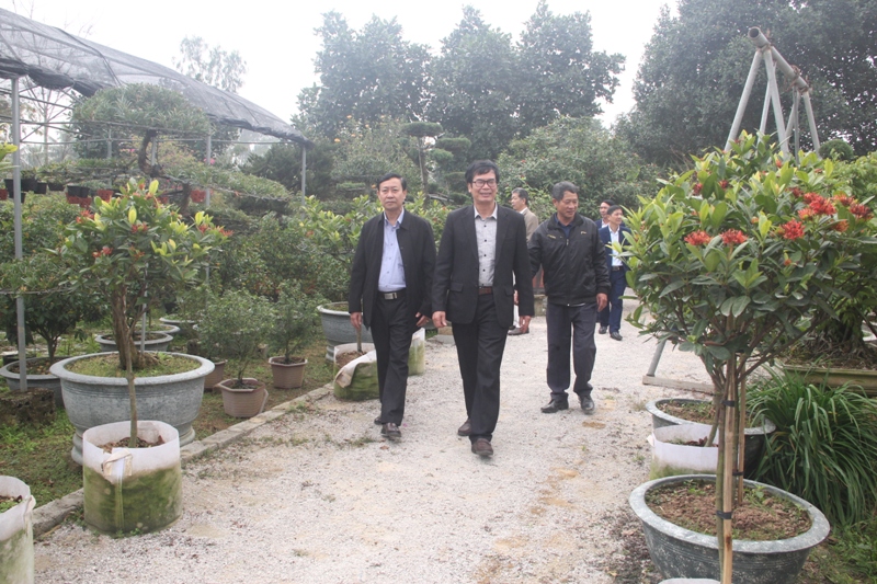 Thẩm định đạt chuẩn nông thôn mới cho 3 xã cuối cùng của huyện Nông Cống