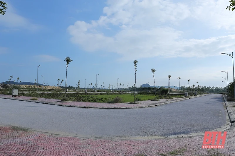 Đất đấu giá - “miếng bánh” hấp dẫn đối với nhà đầu tư