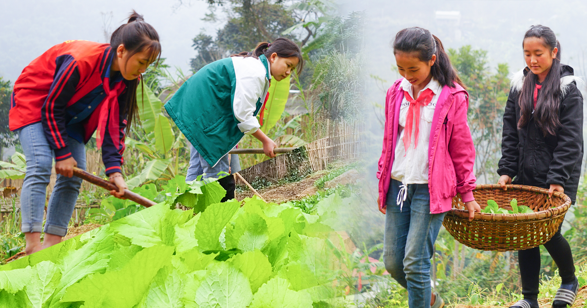 [E-Magazine] - Vườn rau sạch của học sinh vùng cao Xứ Thanh