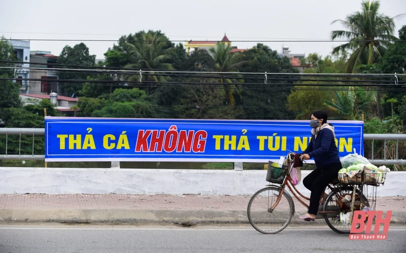 Thả cá chép ngày ông Táo - Nét đẹp văn hóa của người Việt