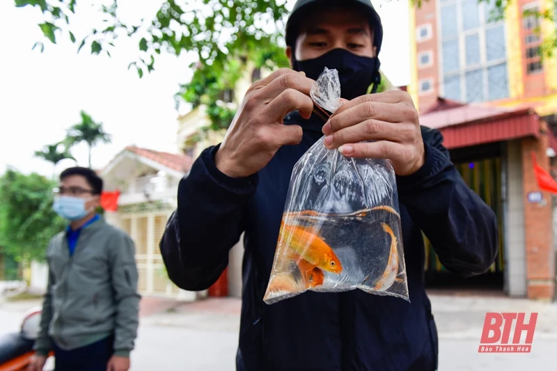 Thả cá chép ngày ông Táo - Nét đẹp văn hóa của người Việt