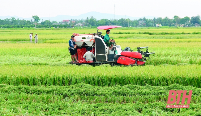 Phát triển nông nghiệp và xây dựng nông thôn mới bền vững: Phát triển nông nghiệp theo vùng