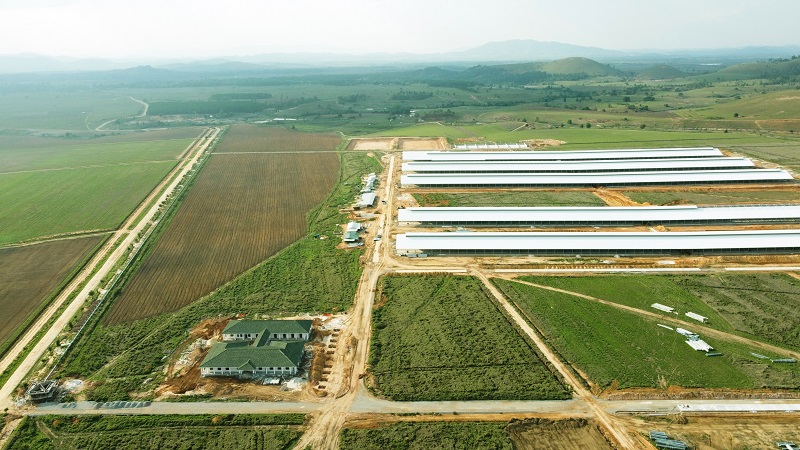 Tổ hợp trang trại của Vinamilk tại Lào đẩy nhanh tiến độ giai đoạn 1