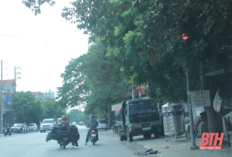 Đề nghị khắc phục tình trạng nhiều đèn tín hiệu giao thông ở TP Thanh Hóa bị che khuất