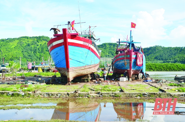 Huyện Hậu Lộc: Nâng cao năng lực khai thác hải sản gắn với bảo vệ chủ quyền biển, đảo