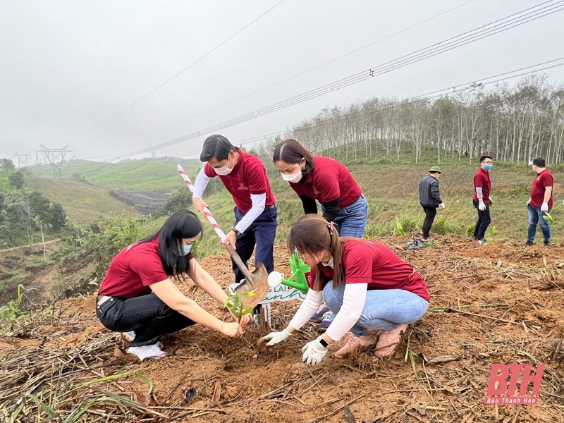 Agribank Nam Thanh Hóa thực hiện chương trình “Agribank - một triệu cây xanh - thêm cây, thêm sự sống”
