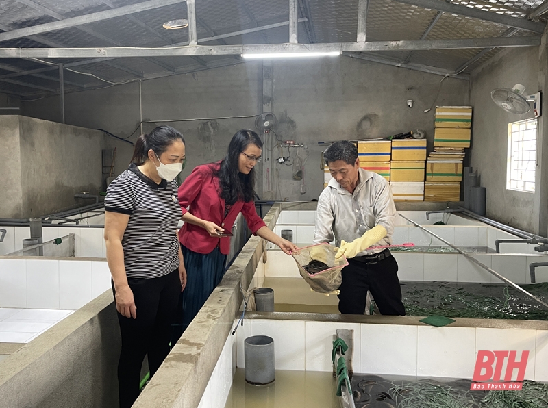 Trung tâm Dịch vụ nông nghiệp huyện Yên Định hỗ trợ người dân phát triển nông nghiệp