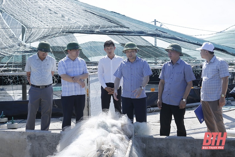 Kiểm tra mô hình nuôi tôm thẻ chân trắng ứng dụng công nghệ cao tại huyện Hoằng Hóa và thị xã Nghi Sơn