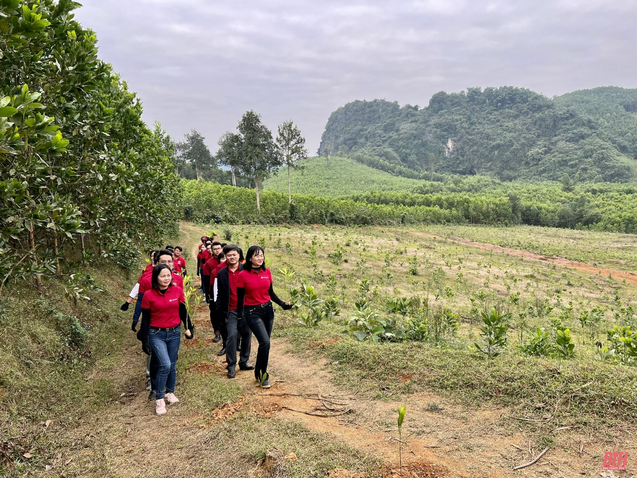 Agribank Nam Thanh Hóa tổ chức Tết trồng cây vì tương lai xanh