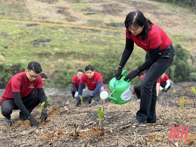 Agribank Nam Thanh Hóa tổ chức Tết trồng cây vì tương lai xanh