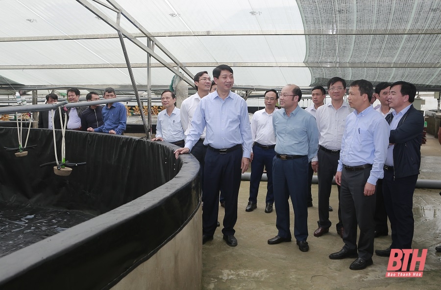 Phó Chủ tịch UBND tỉnh Lê Đức Giang thăm một số mô hình sản xuất nông nghiệp hiệu quả tại Hậu Lộc và Hoằng Hóa