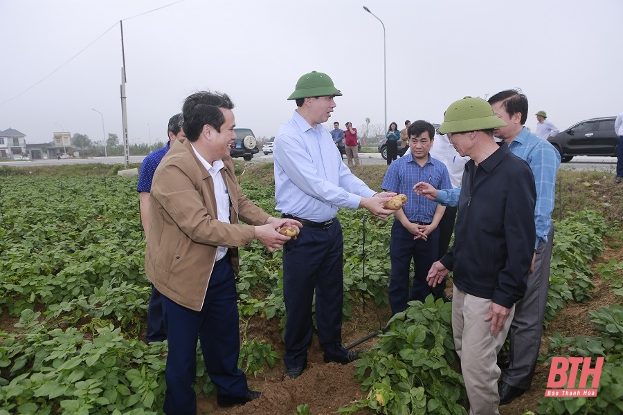Phó Chủ tịch UBND tỉnh Lê Đức Giang thăm một số mô hình sản xuất nông nghiệp hiệu quả tại Hậu Lộc và Hoằng Hóa