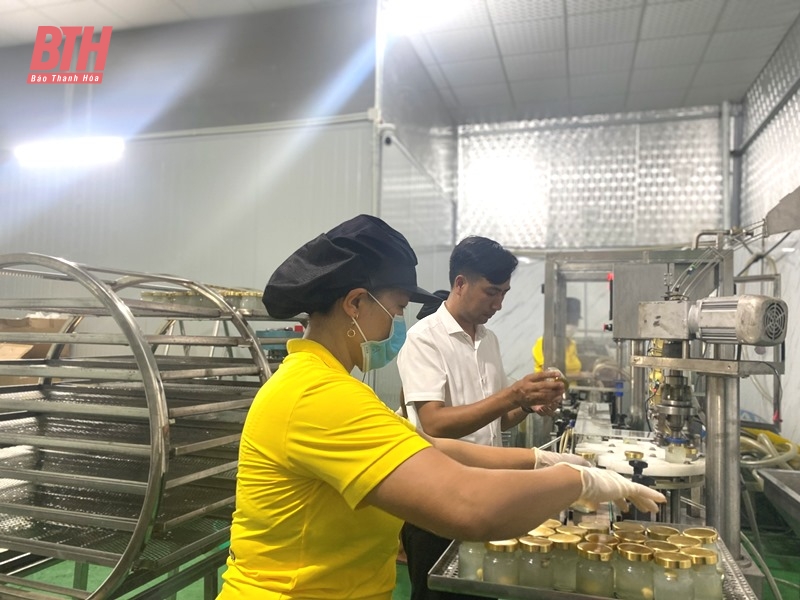 Doanh nghiệp Trung Quốc khảo sát, đánh giá năng lực sản xuất sản phẩm từ tổ yến tại Thanh Hóa