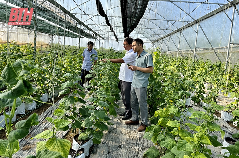 Thành công từ niềm đam mê nông nghiệp công nghệ cao