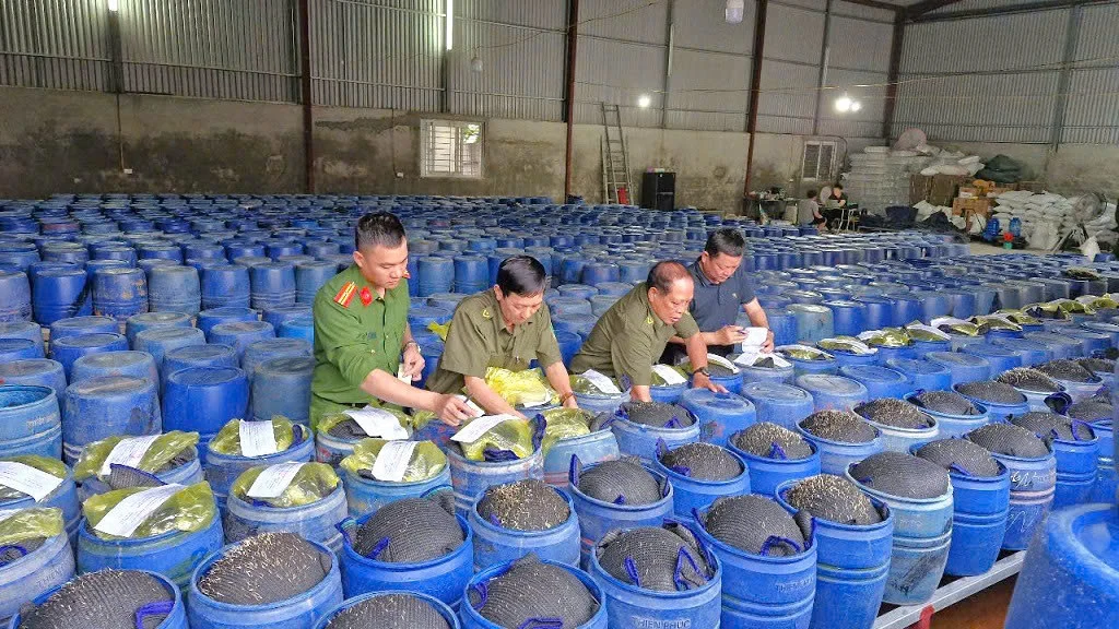 Nàng công chúa bị nhiễm độc