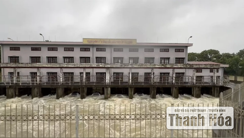 Vận hành 60 trạm bơm tiêu úng bảo vệ sản xuất nông nghiệp