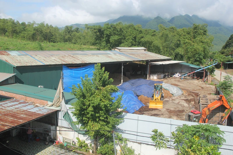 Bất cập xưởng chế biến gỗ keo ngay trong khu dân cư
