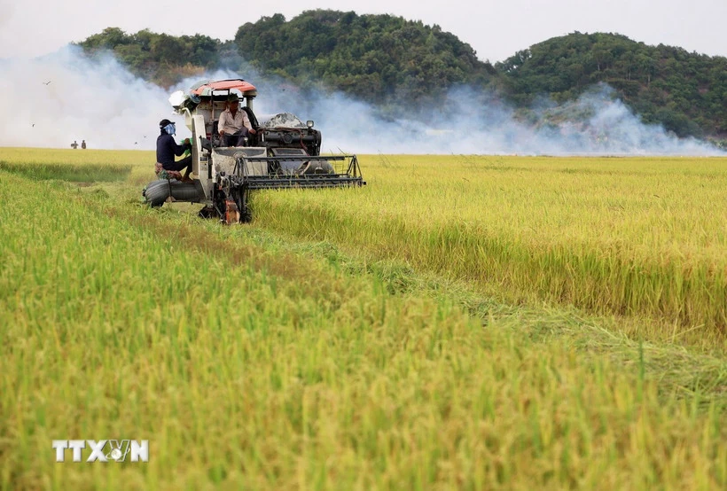 Dự thảo văn kiện Đại hội Đảng XIV: Đề xuất cơ chế đột phá, nâng tầm “tam nông”