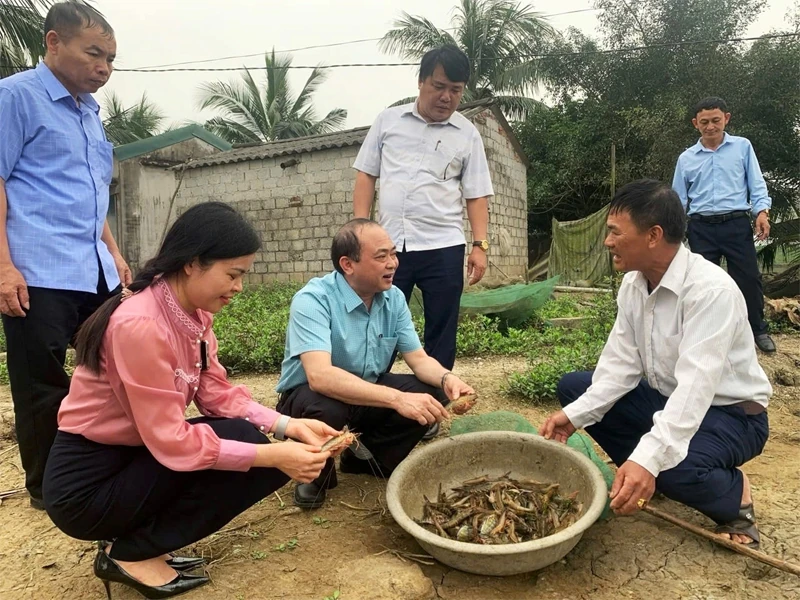Phong trào “Nông dân sản xuất, kinh doanh giỏi” - sức lan tỏa bền vững của nông dân Thanh Hóa