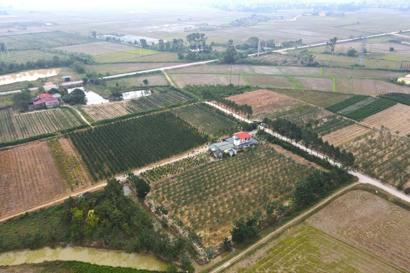 Từ câu “khích tướng”, một nông dân thuần hóa đất hoang thành trang trại kiểu mẫu